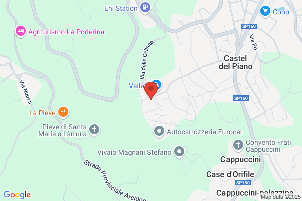 Corsini Biscotti Srl