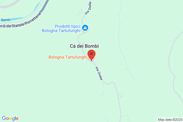 Bologna Tartufunghi