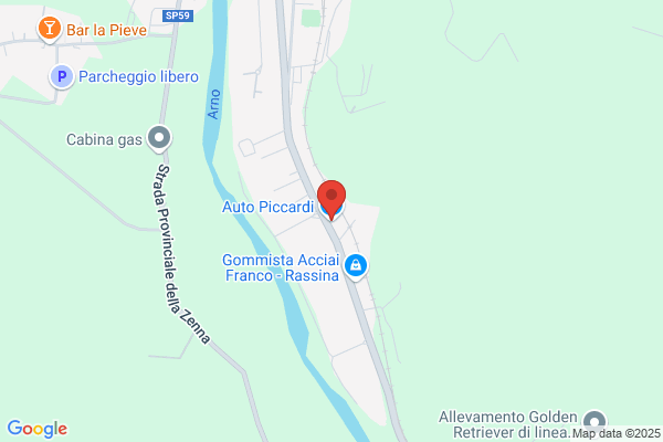 Auto Piccardi