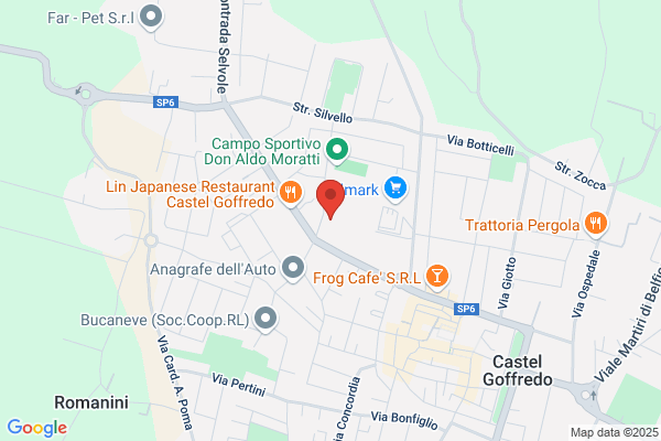 Polisportiva Castellana