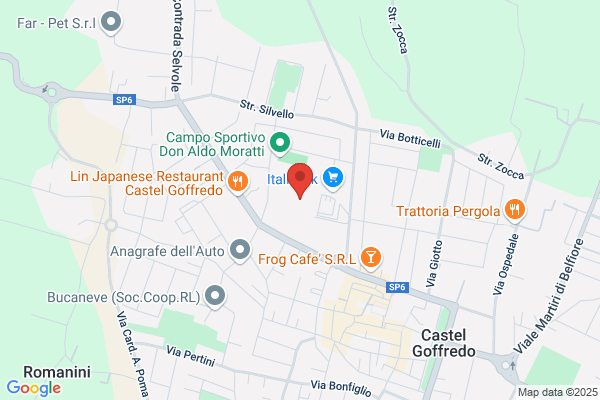 Sterilgarda Tennistavolo Castel Goffredo