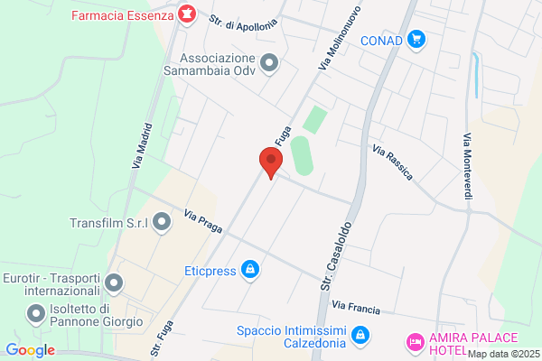 Calzificio Carol Srl