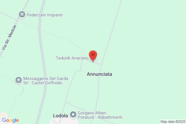 Tedoldi anacleto