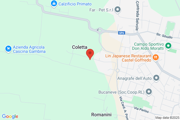 Telaroli silvio E Ottavio