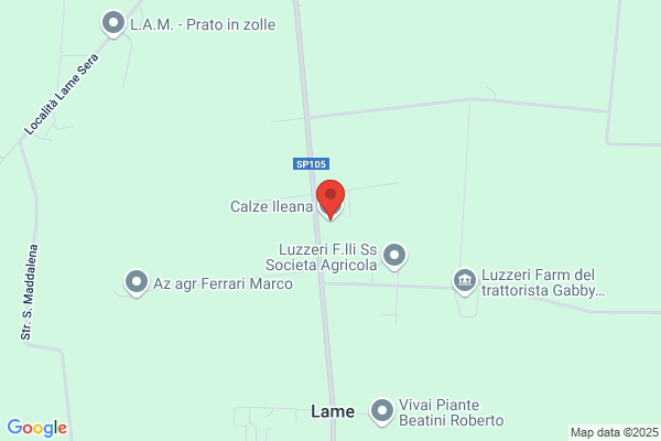 Manifattura Calze Ileana Srl