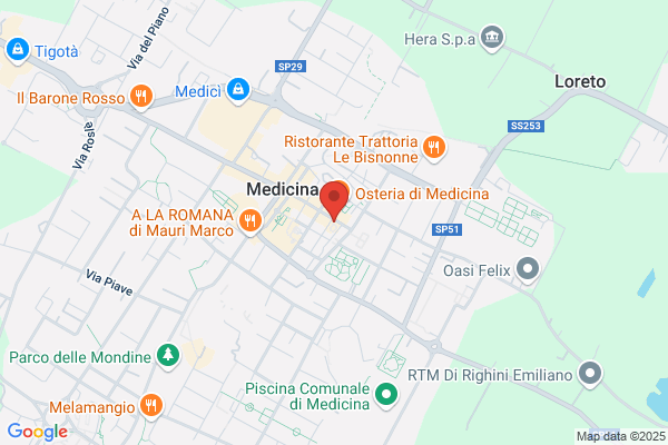 Municipio Di Medicina