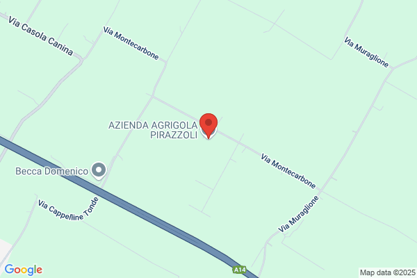 Pirazzoli goffredo
