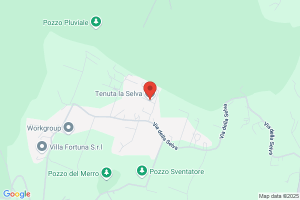 Selva romano