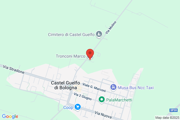 Tronconi giuliano