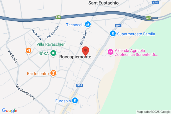 Ri.Car System - Smaltimento Toner