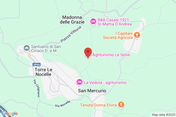 Ristorante Le Selve
