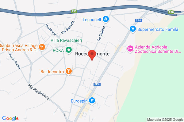 Sansone roberto