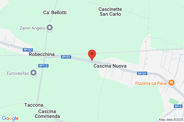 Nuova Piesse Sistemi (S.N.C.)