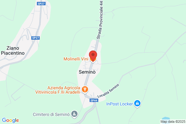 Molinelli angelo