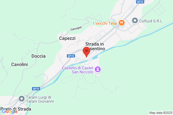 Pacchiani S.N.C. Bucarelli Vanni & C.