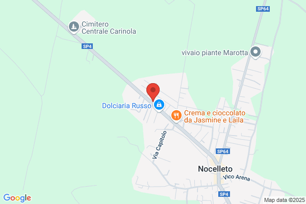 Irritecnica Sud