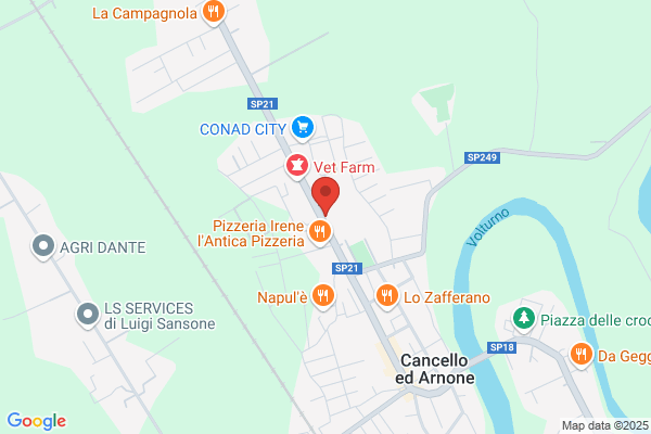 Qua la zampa