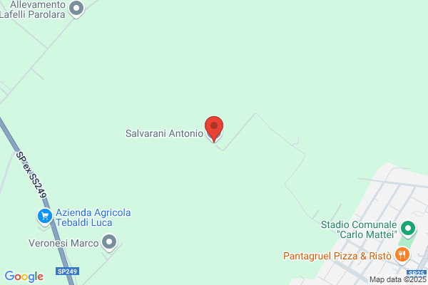 Salvarani antonio