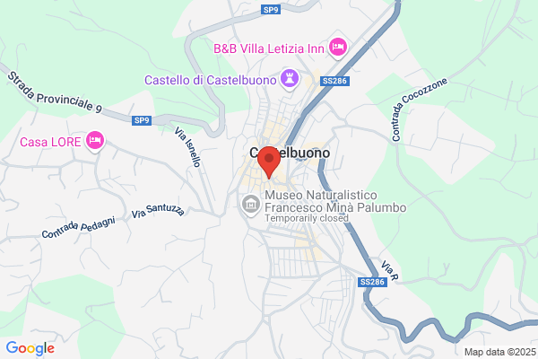 Tornabene felice (Dr.)