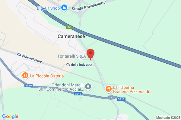 Tonelli carlo
