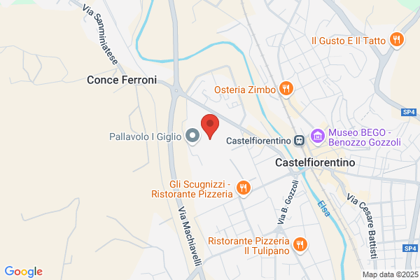 Istituto Superiore F.Enriques