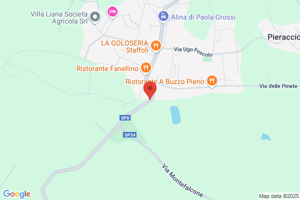 Schiavone bruno