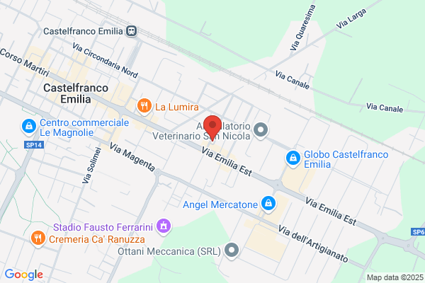 Reale Mutua Agenzia di Castelfr. Emilia Bellei Fabrizio