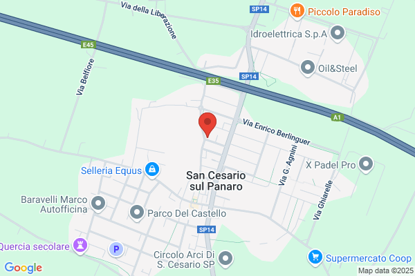 Services Car 2000 Di Cavallieri Idalgo & C. snc