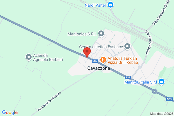 Industria Casearia Pelloni (S.P.A.)