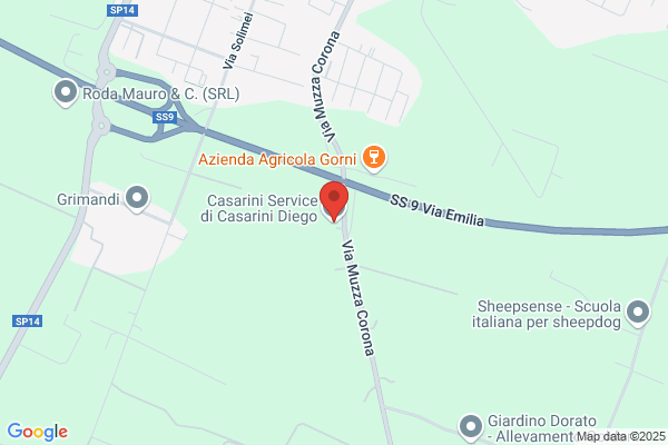 Chiarini, Fiorenza