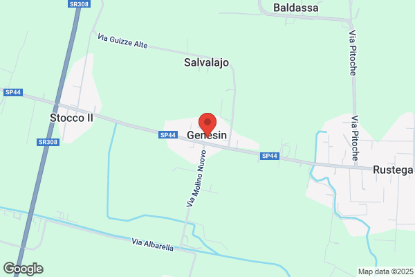 Genesin S.A.S. Di Genesin Piergiorgio & C.