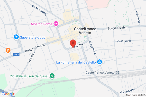 Report Di Pesavento Andrea E Trevisan Gilberto (S.N.C.)