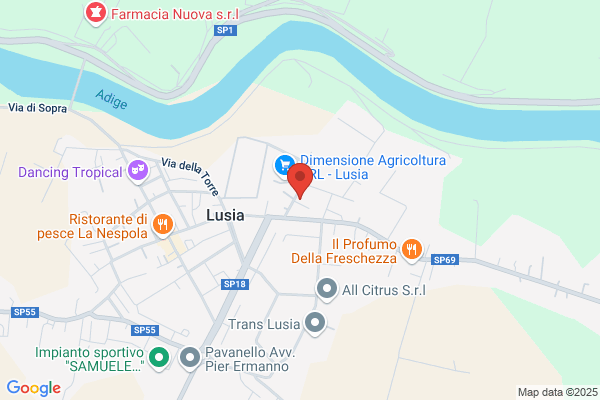 Ferlusia