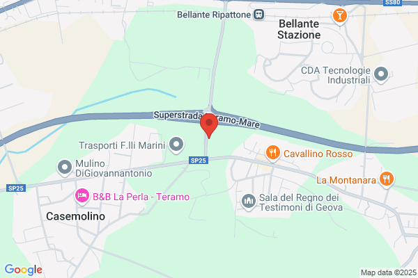 Media Service Adriatica Auto 1 Group