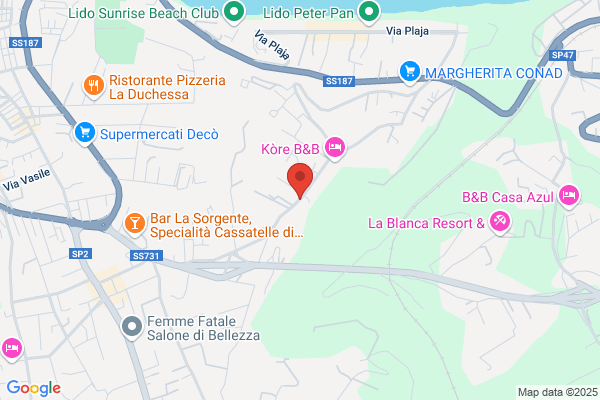 Societadistribuzione Siciliana S.R.L.