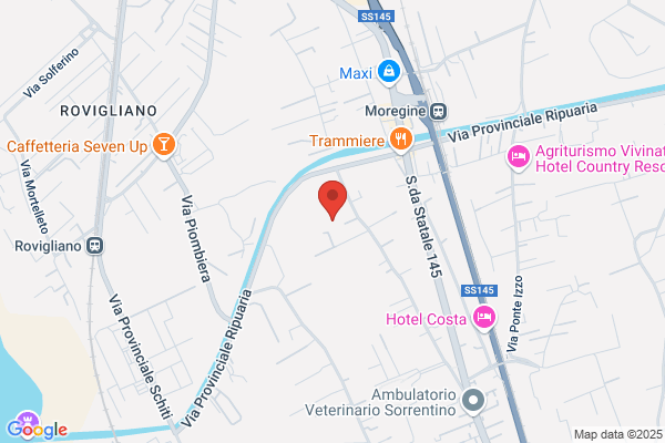 Viva Igiene Professionale S.A.S