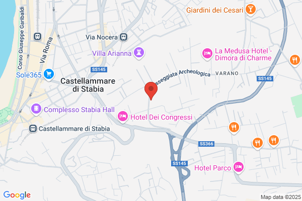 Ristorante E Pizzeria Holiday