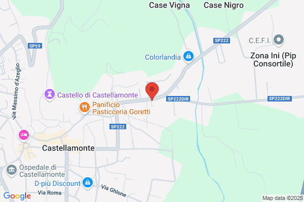 Sassoe-Pognetto danilo (Geom.)