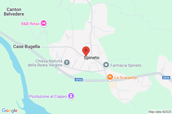 Ptp Ristorante Pizzeria Lo Spineto
