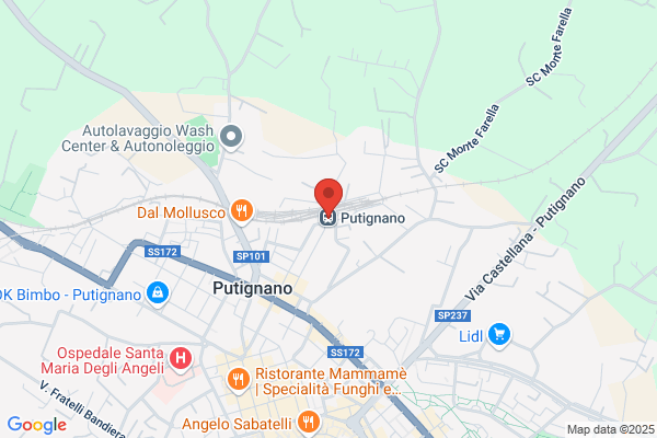 Ferrovie Del Sud E Servizi Automobilistici Srl