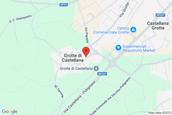 Polizia