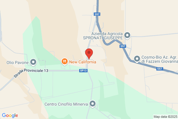 Nuova Castelvini