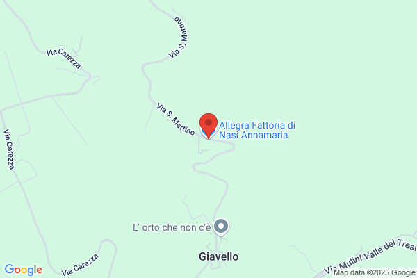 Rapetti Nasi annamaria