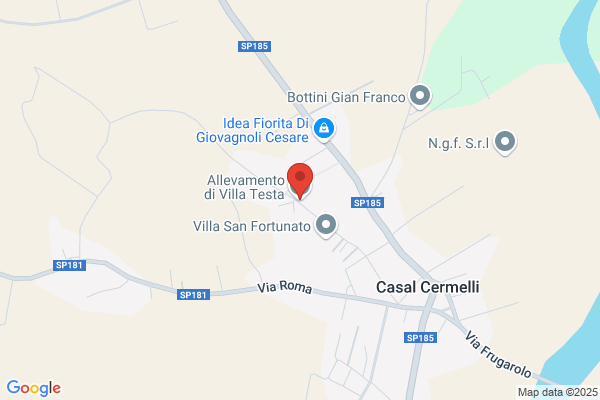 Allevamento Villa Testa