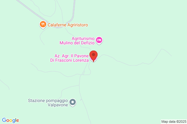 Il Pavone Di Guarino Vincenzo