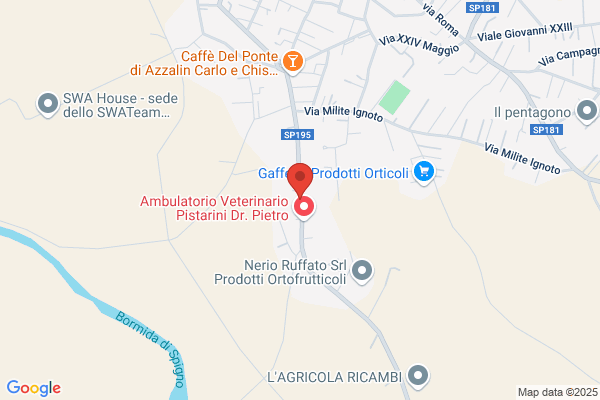 Testore Aschero gemma