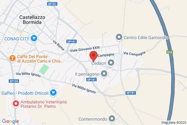 Traverso Bernini luciano