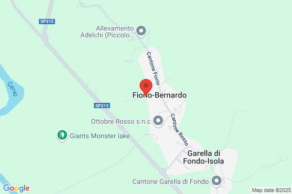 Musi alberto