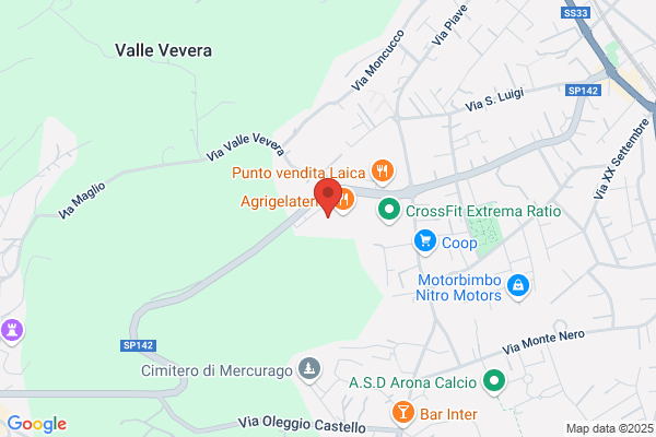 Grilli Per La Testa