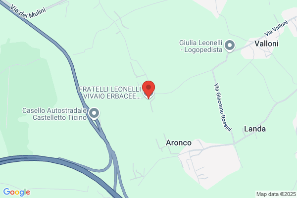 Azienda Florovivaistica F.Lli Leonelli Snc